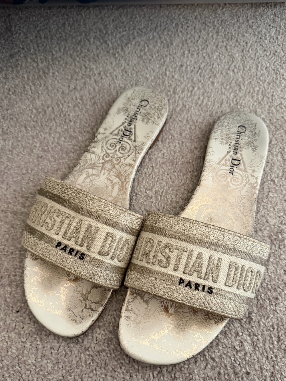 Dior Dway Slides